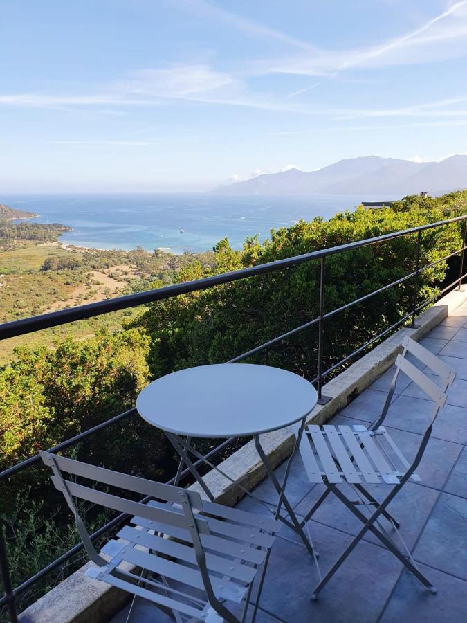 Les Hauts De Fromentica Saint-Florent  Ngoại thất bức ảnh